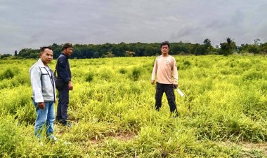 ทับลานผลักดันสำเร็จ! ต้อนช้างป่าโขลงใหญ่กว่า 70 ตัว กลับคืนสู่ป่าธรรมชาติ “ผาเม่น-ภูพอก”