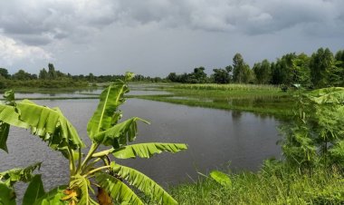 คันกั้นลำน้ำก่ำล้นปริงเวย์ท่วมนาข้าวสกลนคร เสียหายกว่า 3,000ไร่