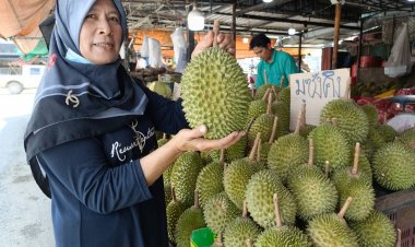 ล่องชายแดนใต้ แวะชิมทุเรียนหลายสายพันธุ์ “โคกโพธิ์-หลาดใหญ่ยะลา”