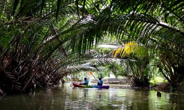ยกระดับ "คุ้งบางกะเจ้า"ต้นแบบท่องเที่ยว"ไมซ์"สีเขียว ขับเคลื่อนเศรษฐกิจฐานราก สร้างรายได้สู่ชุมชน