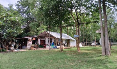 บ้านพู่กันบรรเลง แหล่งพักใจกลางหุบเขา ชมไก่ทรงผมสุดแปลก-สวนศิลป์กลางธรรมชาติที่สวนผึ้ง