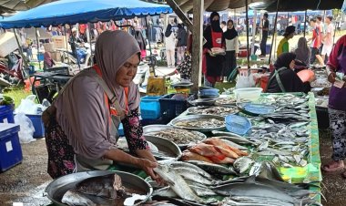 ฉลามกินคน คนกินปลา !!! “ปลาฉลามทรายแกงส้ม” ของดีจากอ่าวไทย “ปัตตานี”