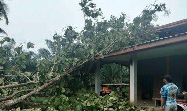 ฝนถล่มกระบี่ บ้านเรือนเสียหายนับร้อยหลัง เร่งช่วยเหลือผู้ประสบภัย