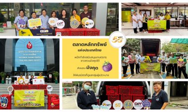 "ตลาดหลักทรัพย์"หนุนชาวสวนมังคุดใต้ รวมพลังอิ่มยกกำลัง2