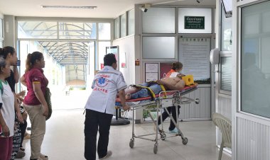 หมูป่าเขี้ยวตันคลั่งไล่ทำร้ายคนหาป่าบาดเจ็บ-เตือนปชช.ระวังภัย