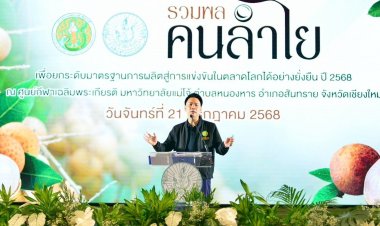 ชาวสวนลำไยเฮ!รัฐช่วยเหลือไร่ละ1.4 พันบาท ไม่เกิน 10 ไร่