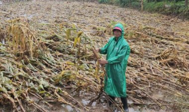 ท่าวังผาเมืองน่านเตรียมพร้อมขั้นสูงสุดรับมือพายุ"วิภา"ถล่ม