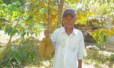 พัทลุงฝนตกชุก เจ้าของสวนทุเรียนน้ำตาตก เจอโรคระบาด-ราคาดิ่ง ขาดทุนยับ