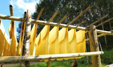 อุปทานตลาดโลกลด ส่งออกยางกลุ่ม "สปอร์ต"เดี้ยง -กลุ่มลองเทอมยังคึกคัก