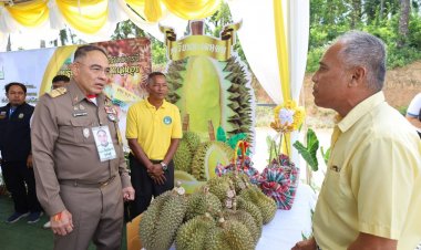 องคมนตรี ลงพื้นที่ติดตามโครงการพระราชดำริ 3 แห่งที่จังหวัดกระบี่