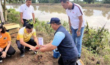 ชาวอำเภอวชิรบารมีร่วมกับโรงไฟฟ้านิคมอุตสาหกรรมพิจิตรปลูกป่าเพื่อประโยชน์ชุมชน8,000ต้น