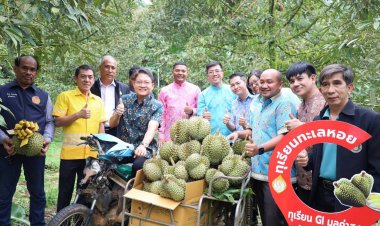 “กระบี่” ลุยขับเคลื่อนแคมเปญ “กระบี่โอเค” สร้างความมั่นใจนักท่องเที่ยวทุกมิติ