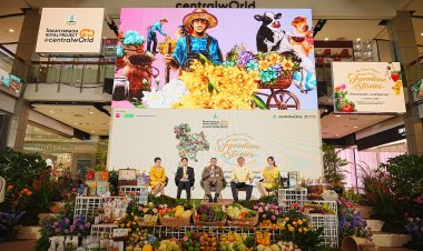 ยกทัพสินค้าคุณภาพจากยอดดอยขายกลางกรุงตอบโจทย์คนรักสุขภาพ