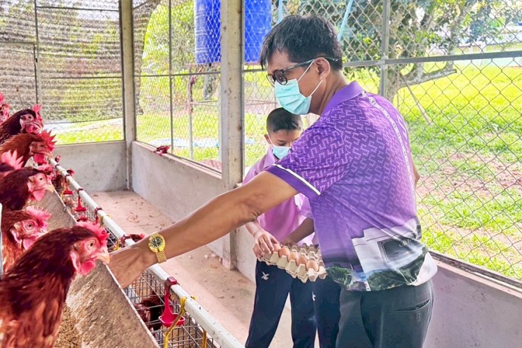 พาชมเบื้องหลัง ‘ไข่ไก่สด’ ที่เด็กๆ โรงเรียนบ้านร้านตัดผม เลี้ยงกันเอง