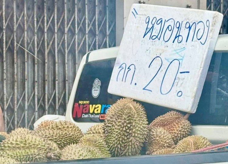 ดราม่า!ทุเรียน 20 บาท "แพรว"แม่ค้าชุมพรยืนยันขายจริง