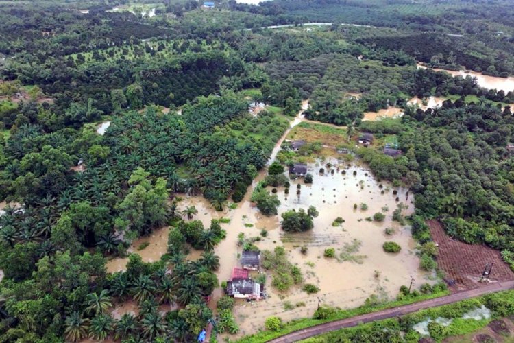 ตราดฝนตกหนักทั้งคืน น้ำล้นคลองสะตอ เอ่อล้นท่วม 4 หมู่บ้าน