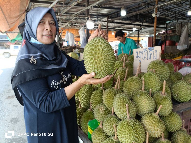 ล่องชายแดนใต้ แวะชิมทุเรียนหลายสายพันธุ์ “โคกโพธิ์-หลาดใหญ่ยะลา”