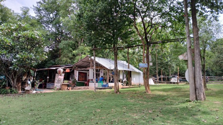 บ้านพู่กันบรรเลง แหล่งพักใจกลางหุบเขา ชมไก่ทรงผมสุดแปลก-สวนศิลป์กลางธรรมชาติที่สวนผึ้ง