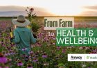 From Farm to Health & Wellbeing แอมเวย์ ถอดรหัสพลังของดอกไม้ ศาสตร์แห่งการใช้ธรรมชาติดูแลสุขภาพอย่างยั่งยืน