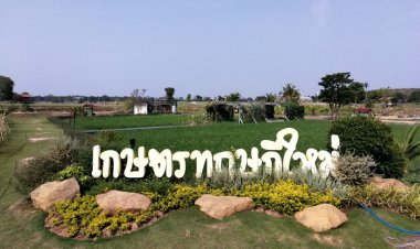 ศวข.สุรินทร์ ขับเคลื่อน "โครงการเกษตรอทิตยาทร" พัฒนาการผลิตข้าวหอมมะลิดีที่สุดในประเทศ