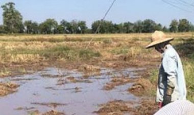 เตือนโรคไข้ดิน ระบาดในอีสาน คร่าเกษตรกร ดับแล้ว 92 ศพ
