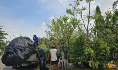 แผงตลาดไม้ดอกไม้ประดับไม้ปราจีนฯขาดแคลนแรงงานหนักหลังกัมพูชาแห่กลับประเทศ