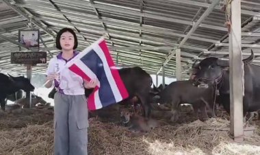 เชิดชู!"น้องโบนัส"วัย 9 ขวบ ถือธงชาติไทย สปีกไทย-อิงริช save ประสาทตาควาย