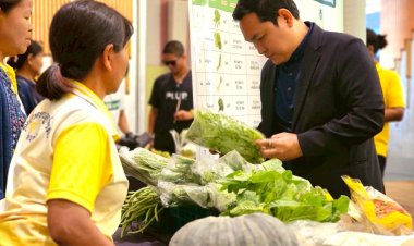 มกอช. หนุนใช้เครื่องหมาย Q ผลิตสินค้าเกษตรมาตรฐานสากลสู่ตลาดโมเดิร์นเทรด