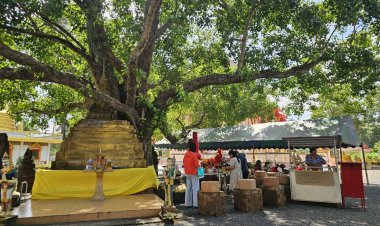 แห่พาแม่กราบนมัสการขอพรพระศรีมหาโพธิอายุ 2,500 ปีคึกคัก