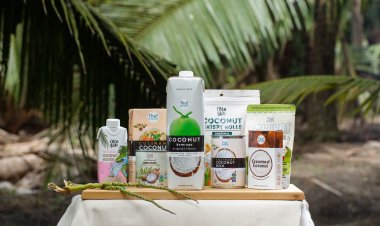 "ไทยโคโคนัท" โกยครึ่งปีแรก 3.3พันล. รับอานิสงส์ตลาดจีน-ยุโรป- อเมริกา เติบโตพุ่ง