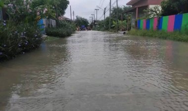 ฝนกระหน่ำเพชรบูรณ์!ท่วมฉับพลัน 5 อำเภอ-ดินโคลนถล่มซ้ำเติม