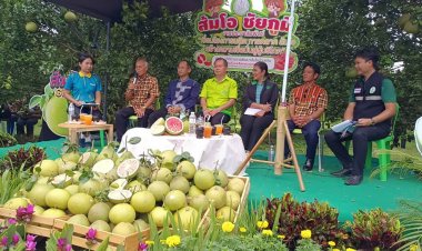 " เทศกาลส้มโอหวานบ้านแท่น" แหล่งปลูกผลไม้รสดี GI ชัยภูมิ กระตุ้นศก.ชุมชน