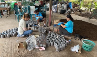 เสริมอาชีพ สร้างรายได้ หลังน้ำท่วมพร้อมลดฝุ่นควัน: กิจกรรมถ่ายทอดการเพาะเห็ดเศรษฐกิจจากก้อนชีวมวลซังข้าวโพดและต้นข้าวโพดที่ถูกน้ำท่วม