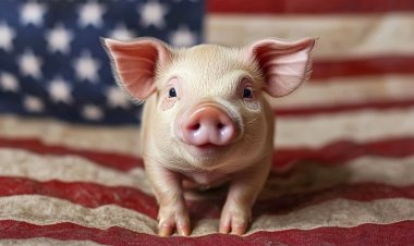 หมูอเมริกัน ได้ไม่คุ้มเสีย อย่ายอมแลกสุขภาพกับของราคาถูก