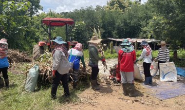 วช. ลงพื้นที่ติดตามความก้าวหน้าโครงการวิจัยลด PM2.5 ที่จังหวัดน่าน สร้างเครือข่ายจัดการเศษวัสดุเกษตร-ยกระดับคุณภาพชีวิตชุมชน