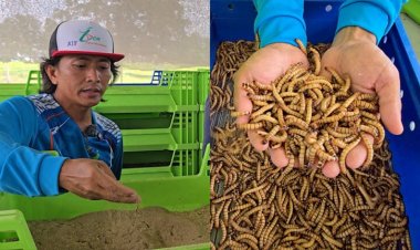 เลี้ยง "หนอนยักษ์"พลิกชีวิตหนุ่มขอนแก่น สู่ผู้ผลิตอาหารสดป้อนสัตว์เลี้ยงสวยงาม