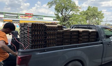 แม่ไก่ใต้ไข่ออกน้อย ส่วนทางบริภาคพุ่ง นำเข้าภาคกลาง1ล้านฟอง/วัน