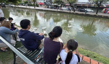 แลนด์มาร์คแห่งใหม่เมืองเชียงใหม่!แห่ชมน้องฝูงห่านฝึกงานกำจัดวัชพืช