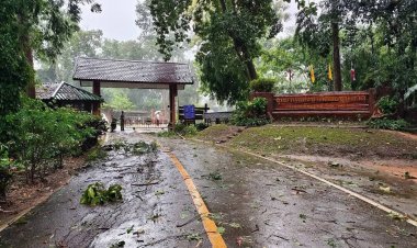 อุทยานฯดอยขุนตาลปิดชั่วคราวหลังฝนถล่ม-ลมแรง หวั่นนนท.ไม่ปลอดภัย