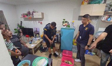 บุกรวบ 2 ผู้ต้องหาเลี้ยง"หมีขอ-นางอาย"คาคอนโดฯย่านนวมินทร์