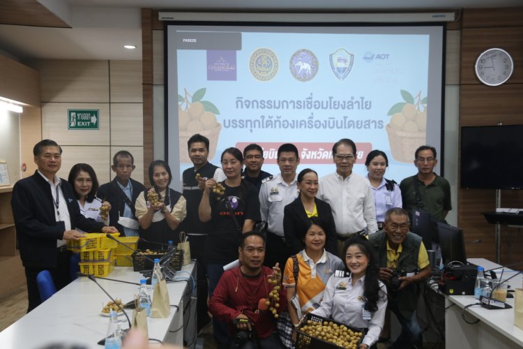 เชียงรายลุยแก้ผลผลิตล้นตลาด "ลำไยบินได้"เวียตเจ็ทจัดให้สู่ผู้บริโภคภูเก็ต
