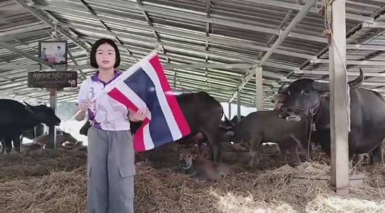 เชิดชู!"น้องโบนัส"วัย 9 ขวบ ถือธงชาติไทย สปีกไทย-อิงริช save ประสาทตาควาย