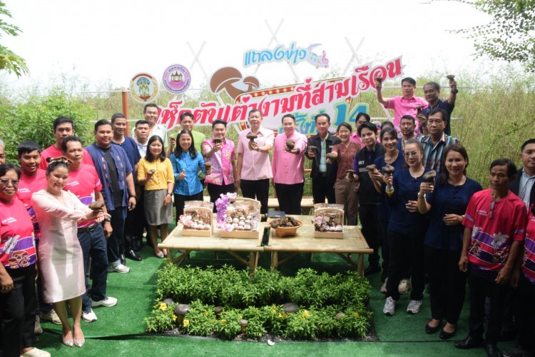 อยุธยาชวนนักท่องเที่ยว ชิม ช้อป มหกรรม"เห็ดตับเต่างามที่สามเรือน"กระตุ้นศก.ชุมชน