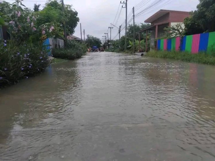 ฝนกระหน่ำเพชรบูรณ์!ท่วมฉับพลัน 5 อำเภอ-ดินโคลนถล่มซ้ำเติม