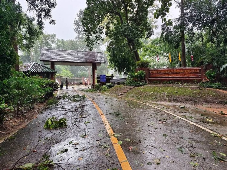 อุทยานฯดอยขุนตาลปิดชั่วคราวหลังฝนถล่ม-ลมแรง หวั่นนนท.ไม่ปลอดภัย