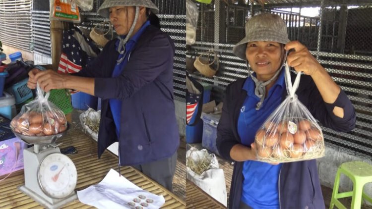 ชีวิตเปลี่ยน! สาว อสม.เลี้ยงไก่ไข่ออร์แกนิก ขายไข่เป็นกิโล โกยรายได้สุดปัง