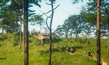 พิชิต “ภูสอยดาวหน้าฝน” ชมธรรมชาติทุ่งหญ้า ดอกไม้ สายหมอกกลางขุนเขา