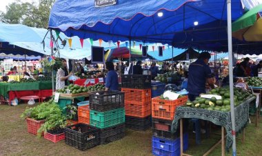 เทศกาลอะโวคาโดและของดีอำเภอหางดง กระตุ้นเศรษฐกิจฐานราก