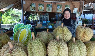 ร้านทุเรียนหมอนทอง “ชามิล ชายัง” ของดีเมืองตานี มีไอศครีมสูตรเด็ด