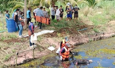 ตาวัย 83 จมน้ำดับ!คาดหน้ามืดเป็นลม ขณะลงเก็บพืชน้ำดอกจอกในสระ